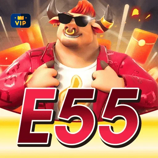 Programa VIP e55 - benefícios exclusivos